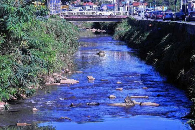 Rio Jundiaí é despoluído e volta a ter peixes após 30 anos