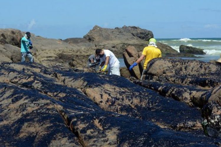 Danos do óleo no litoral do Nordeste vão durar décadas, dizem oceanógrafos