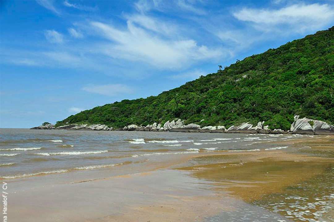 Em iniciativa inédita em dez anos, as três praias do Parque Itapuã serão reabertas