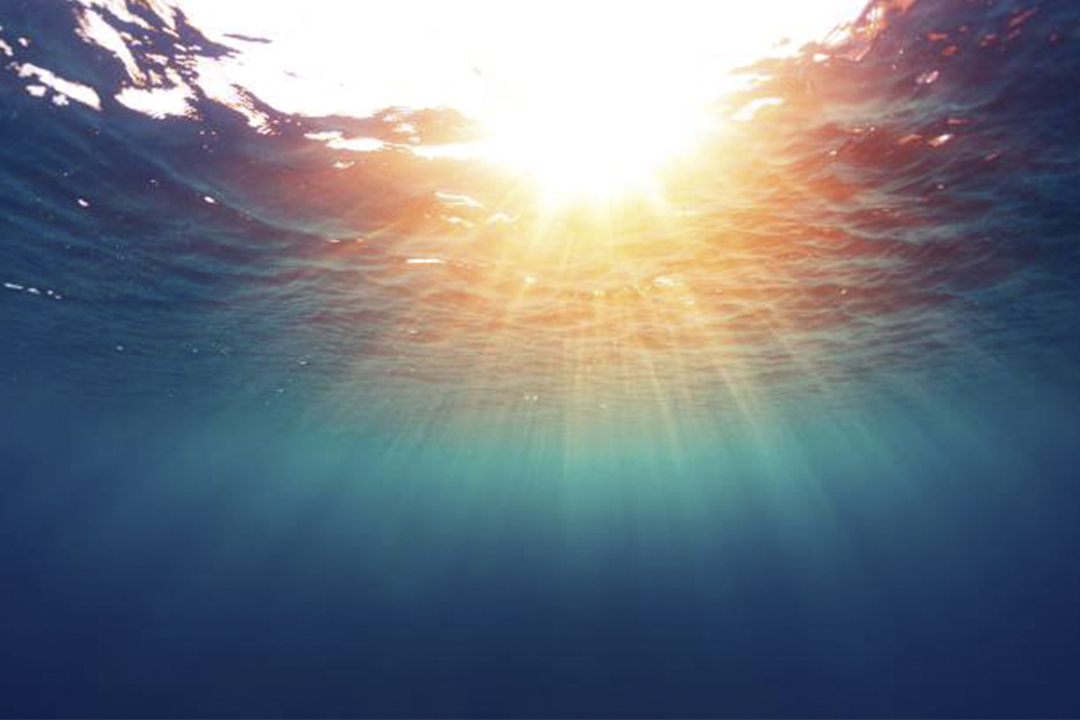 ONU: oceanos são pulmões do planeta e maior meio de absorção de carbono